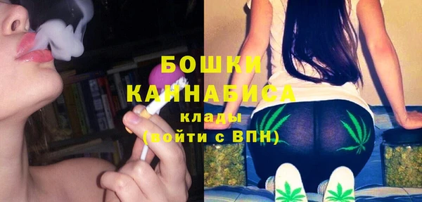 гашик Заволжье