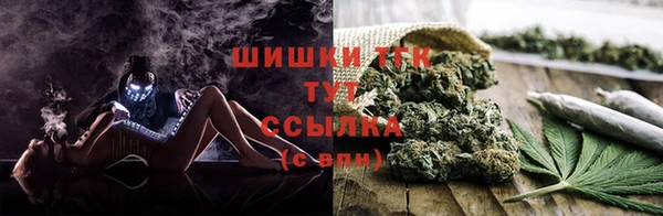 гашик Заволжье